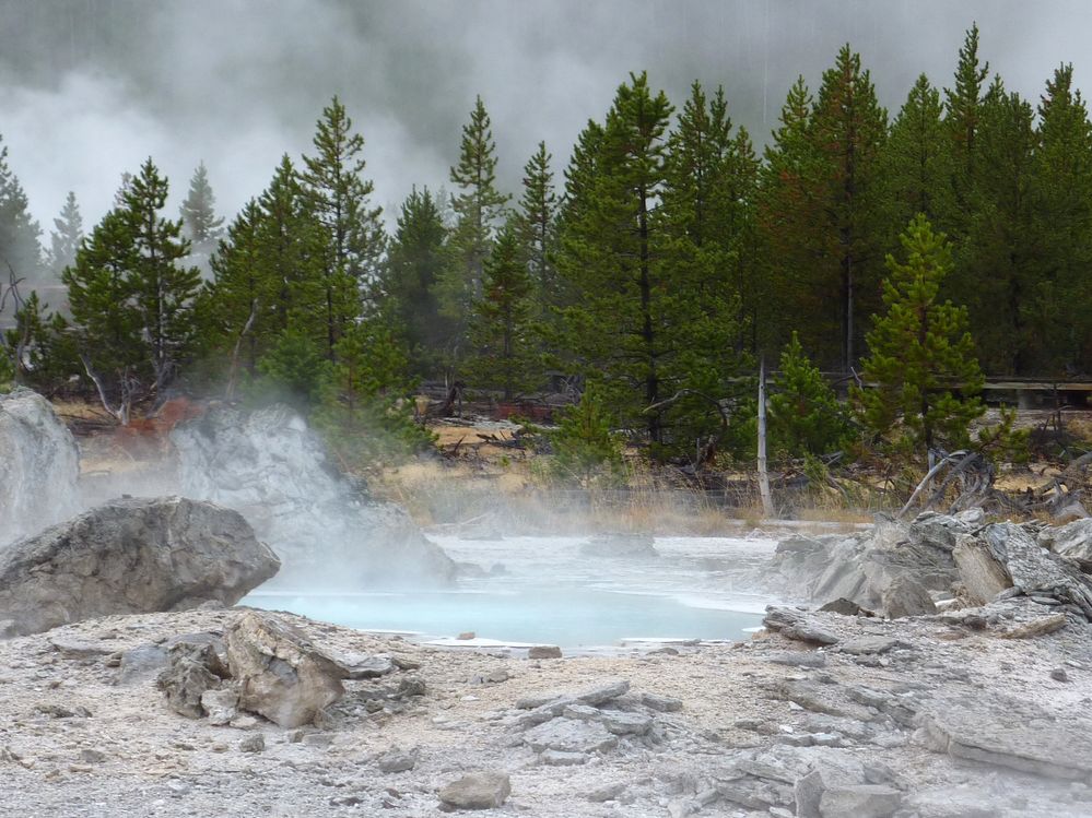 Yellowstone Norris Geyser (58).JPG